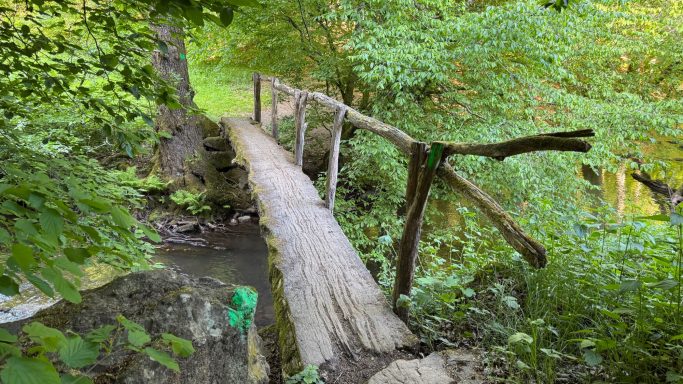 Holzbrücke über einen kleinen Bach, umgeben von dichten, grünen Bäumen.